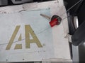 2013 Toyota Corolla — photo 11 of 16 | VIN 2T1BU4EE2DC098985