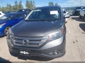 2014 Honda CR-V — photo 12 of 16 | VIN 2HKRM4H76EH683286