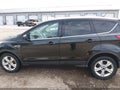 2014 Ford Escape — photo 14 of 16 | VIN 1FMCU0GX6EUB77944