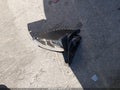 2005 Saturn Ion — photo 12 of 17 | VIN 1G8AL52F55Z137510