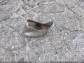2008 Mazda CX-9 — photo 12 of 17 | VIN JM3TB28A280131983