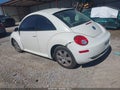 2008 Volkswagen Beetle — photo 3 of 16 | VIN 3VWFW31C98M521047