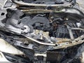 2018 Chevrolet Malibu — photo 10 of 10 | VIN 1G1ZB5ST1JF293808