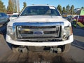 2013 Ford F-150 — photo 13 of 17 | VIN 1FTFX1CT9DFD04321