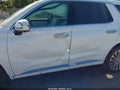 2025 Hyundai Palisade — photo 20 of 20 | VIN KM8R7DGE3SU955104