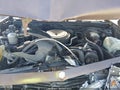 1981 Chevrolet Malibu — photo 10 of 16 | VIN 1G1AT69K7BD404940