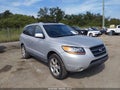2009 Hyundai Santa Fe — photo 1 of 16 | VIN 5NMSH13E39H298121