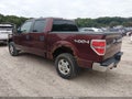 2010 Ford F-150 — photo 3 of 19 | VIN 1FTFW1EV3AKB83595