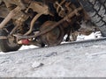 2007 Dodge Ram 3500 — photo 20 of 23 | VIN 3D7MX48C87G760949