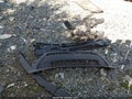 2021 Toyota Corolla — photo 12 of 17 | VIN JTDEPMAE9MJ170392