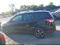 2014 Ford Escape — photo 14 of 21 | VIN 1FMCU0F75EUD15636
