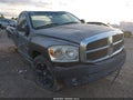 2008 Dodge Ram 1500 — photo 1 of 11 | VIN 1D7HA16K58J102842