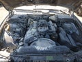 2003 BMW 5 Series — photo 10 of 11 | VIN WBADT43473G025551