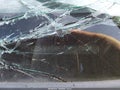 2016 Hyundai Elantra — photo 13 of 17 | VIN 5NPDH4AE0GH689918