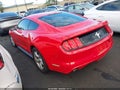 2015 Ford Mustang — photo 3 of 17 | VIN 1FA6P8AM9F5403451