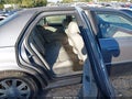 2007 Cadillac DTS — photo 8 of 17 | VIN 1G6KD57Y67U116492