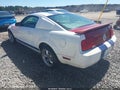 2005 Ford Mustang — photo 3 of 17 | VIN 1ZVFT80N555137177