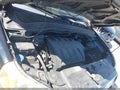 2006 Honda Pilot — photo 10 of 13 | VIN 5FNYF28106B037750
