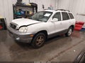 2004 Hyundai Santa Fe — photo 2 of 17 | VIN KM8SB12B84U635985