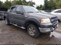 2005 Ford F-150 — photo 1 of 13 | VIN 1FTPW14505KD33593