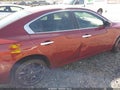 2009 Nissan Maxima — photo 12 of 12 | VIN 1N4AA51E69C838964