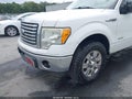 2012 Ford F-150 — photo 6 of 16 | VIN 1FTFW1CT7CFA61142