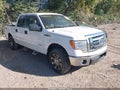 2011 Ford F-150 — photo 1 of 16 | VIN 1FTFW1ET2BFB62777