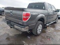 2012 Ford F-150 — photo 4 of 16 | VIN 1FTFW1EF8CKE23087