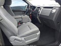 2012 Ford F-150 — photo 5 of 16 | VIN 1FTFW1EF8CKE23087