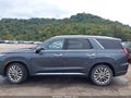 2020 Hyundai Palisade — photo 14 of 18 | VIN KM8R54HE5LU138464