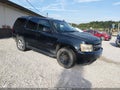 2009 Chevrolet Tahoe — photo 1 of 17 | VIN 1GNFK23019J101364