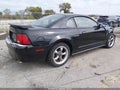 2002 Ford Mustang — photo 4 of 15 | VIN 1FAFP42X62F194143