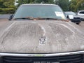 2000 GMC Sierra 1500 — photo 10 of 12 | VIN 2GTEK19T3Y1258001