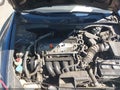 2010 Honda Accord — photo 10 of 11 | VIN 1HGCP2F38AA085852