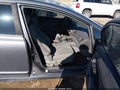 2010 Honda Civic — photo 5 of 11 | VIN 19XFA1E3XAE028672