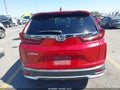 2020 Honda CR-V — photo 17 of 17 | VIN 2HKRW1H52LH419244