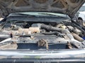 2000 Ford F-250 — photo 10 of 11 | VIN 3FTNW21S5YMA52751