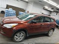 2015 Ford Escape — photo 13 of 13 | VIN 1FMCU0F79FUA25501
