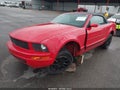 2007 Ford Mustang — photo 2 of 19 | VIN 1ZVHT84N575339331