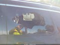 2021 Jeep Grand Cherokee L — photo 17 of 17 | VIN 1C4RJKBG3M8134891
