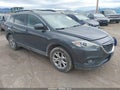 2014 Mazda CX-9 — photo 1 of 16 | VIN JM3TB3CV7E0442241