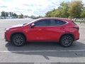 2022 Lexus NX 350 — photo 14 of 16 | VIN JTJGGCEZ4N2000708