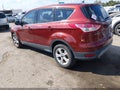 2014 Ford Escape — photo 3 of 16 | VIN 1FMCU0GX7EUE38336