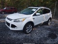 2014 Ford Escape — photo 2 of 16 | VIN 1FMCU0J90EUA89241