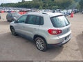 2009 Volkswagen Tiguan — photo 3 of 11 | VIN WVGAV75N39W500257