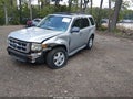 2009 Ford Escape — photo 2 of 12 | VIN 1FMCU03G69KC59423