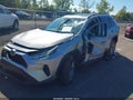 2024 Toyota RAV4 — photo 2 of 16 | VIN 2T3P1RFV4RW450925