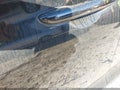 2015 Hyundai Sonata — photo 13 of 14 | VIN 5NPE24AF9FH253002
