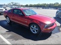 2008 Ford Mustang — photo 1 of 11 | VIN 1ZVHT80N585107660