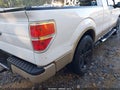 2009 Ford F-150 — photo 12 of 12 | VIN 1FTRX12V69FA63681